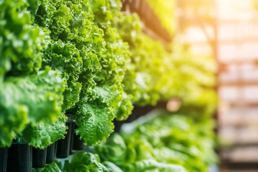 Metropollerde Tarım Yapmak: Dikey Çiftlik Çözümleri